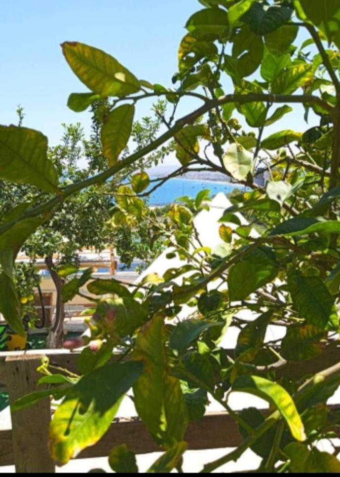 Queens Luxury Glamping Palaiokastro  Esterno foto