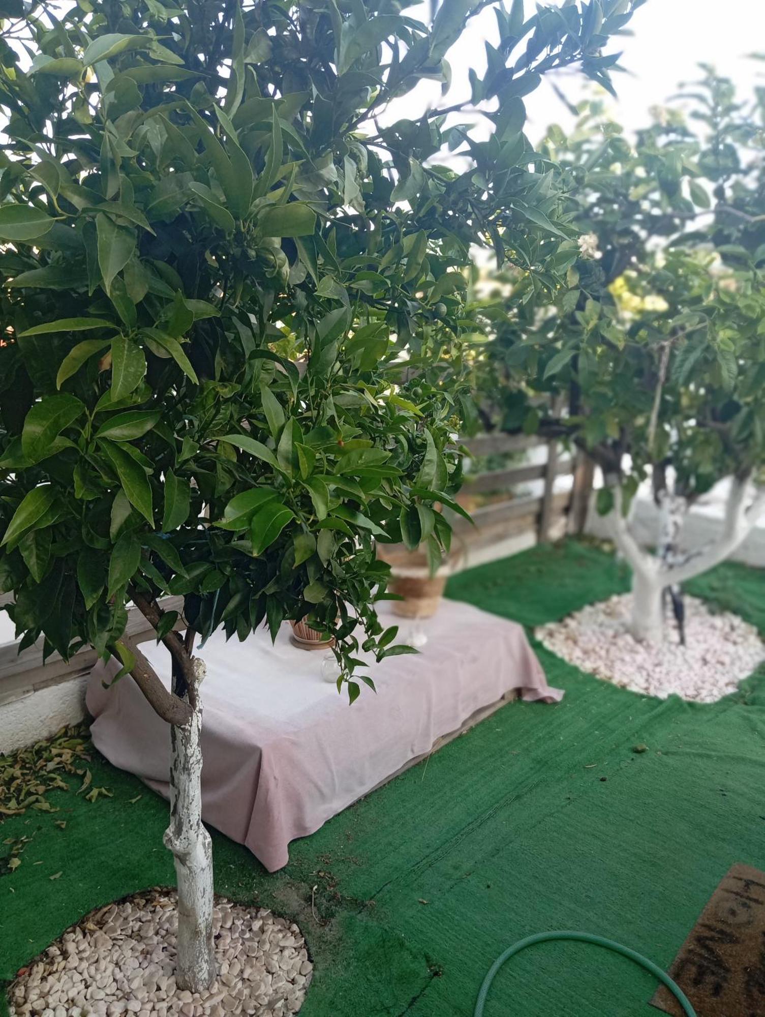 Queens Luxury Glamping Palaiokastro  Esterno foto