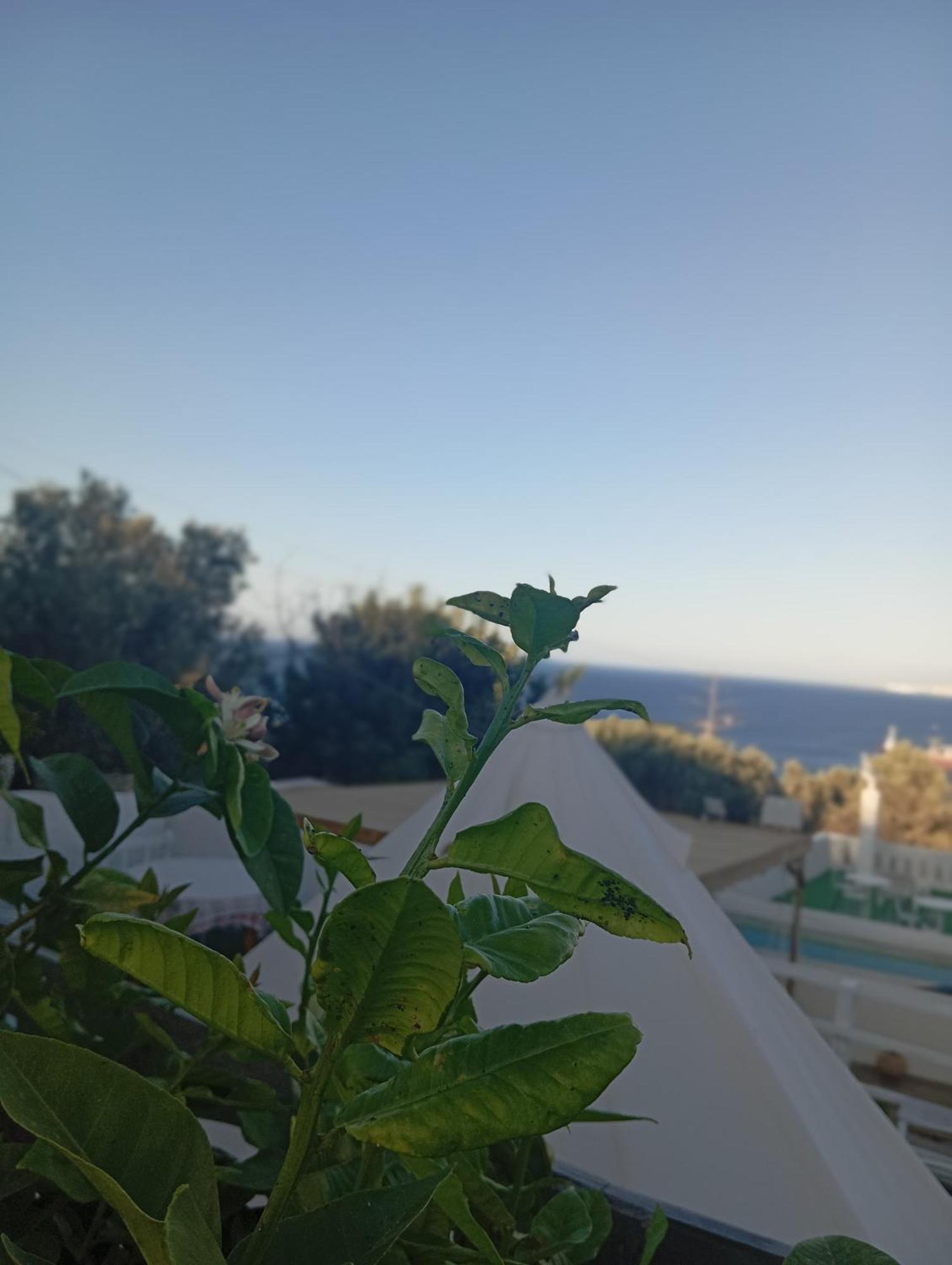 Queens Luxury Glamping Palaiokastro  Esterno foto